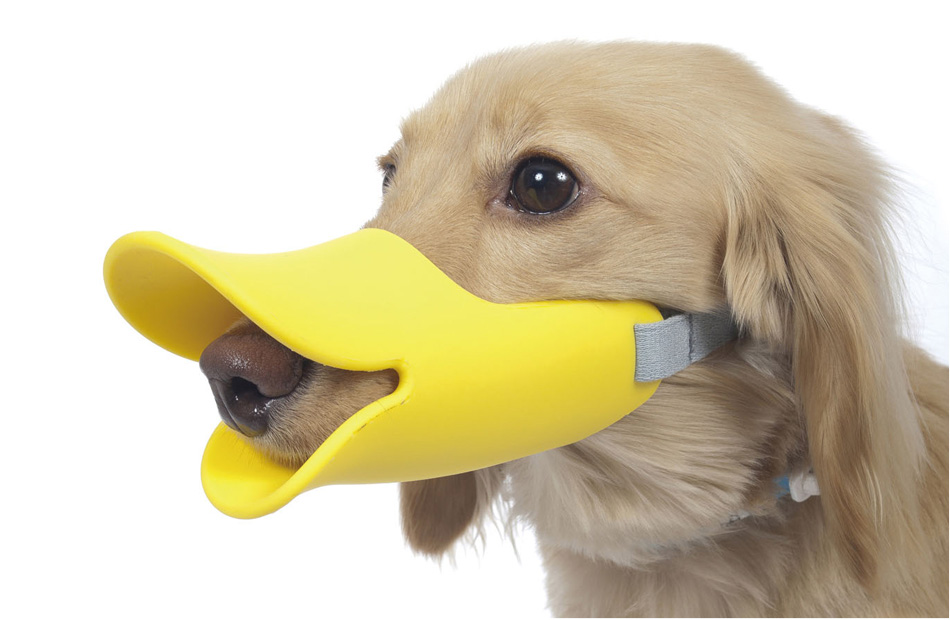dog beak muzzle