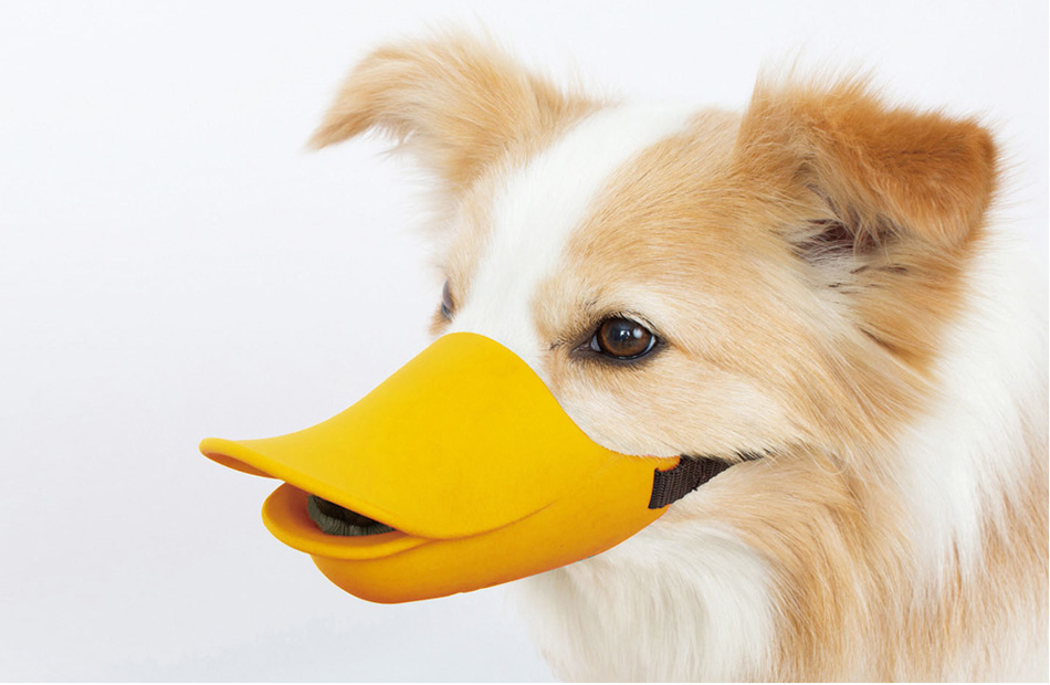 quack® closed（クアック®クローズド）｜OPPO （オッポ） 犬・猫 おしゃれでかわいい、おすすめペット用品