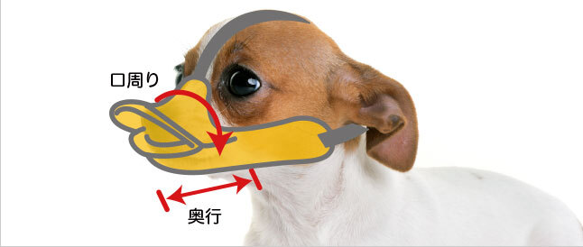 quack® closed size ss（クアック®クローズド サイズ ss）｜OPPO （オッポ） 犬・猫 おしゃれでかわいい、おすすめペット用品
