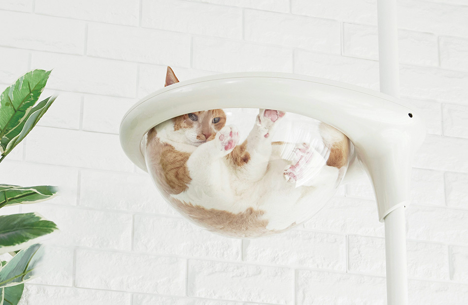 CatForest-2 option（キャットフォレスト ツーオプション