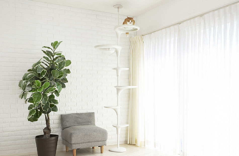 OPPO CatForest-2 キャットフォレスト2 ホワイト 楽天市場】OPPO CatForest2 キャットフォレスト2 ホワイト