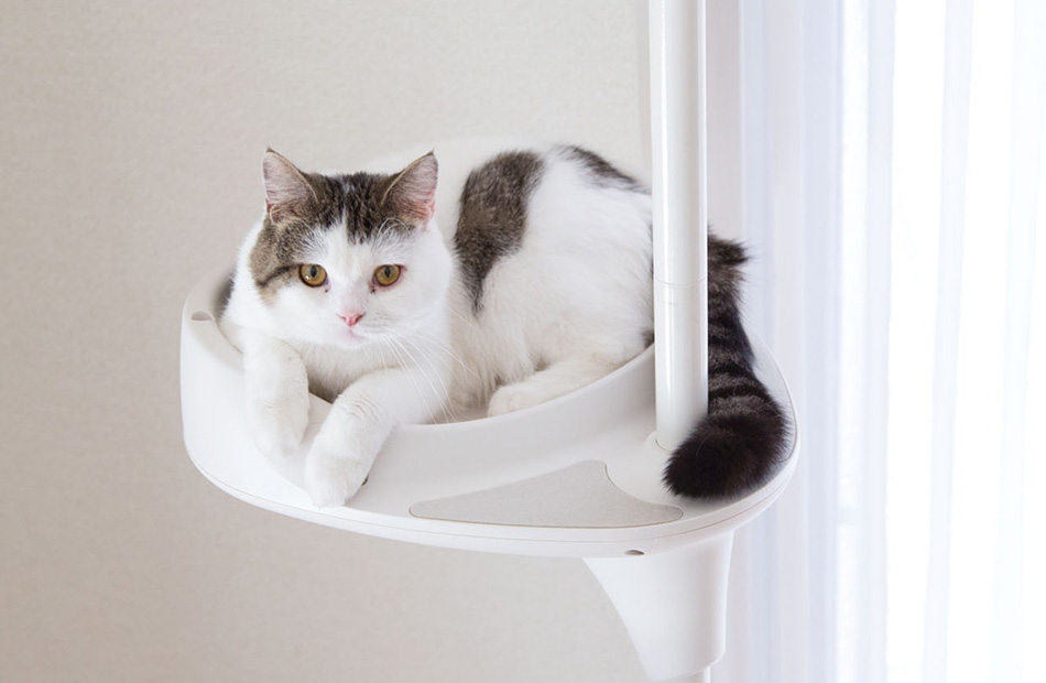 CatForest-2 option（キャットフォレスト ツーオプション