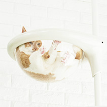 クリアボール商品画像