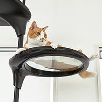 クリアシェルフ商品画像