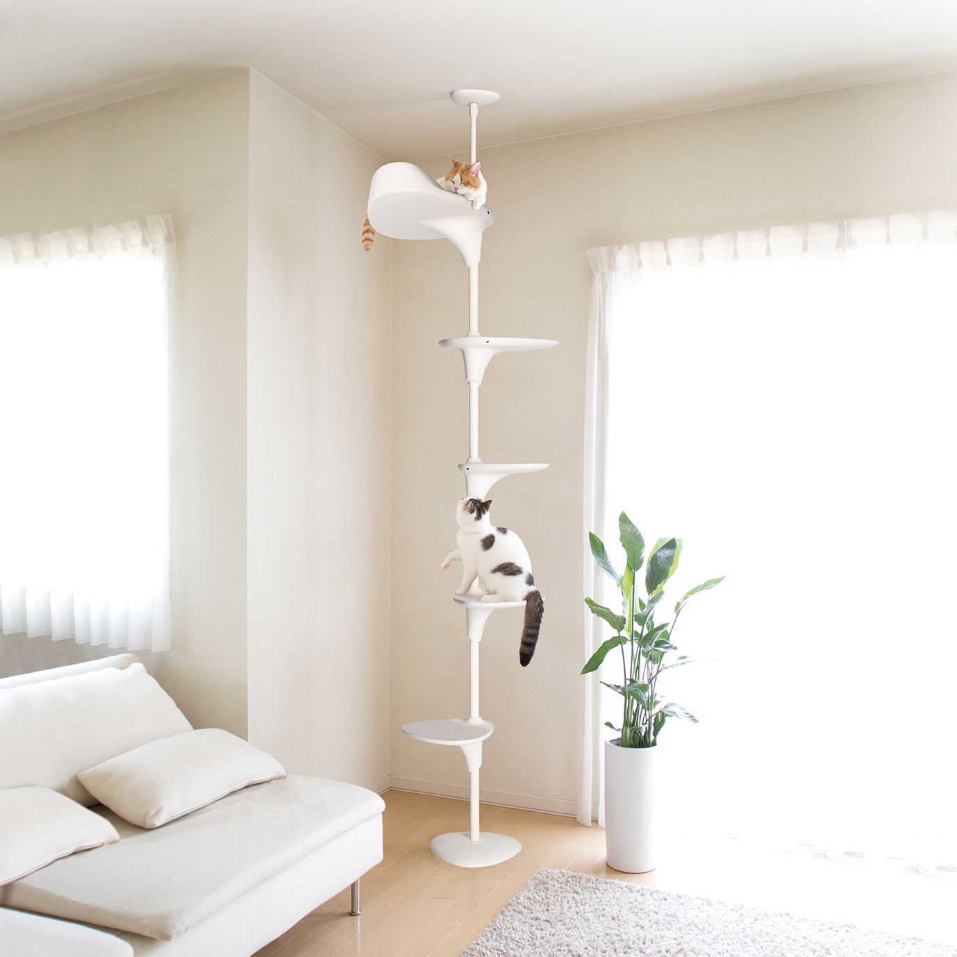 CatForest 2 White